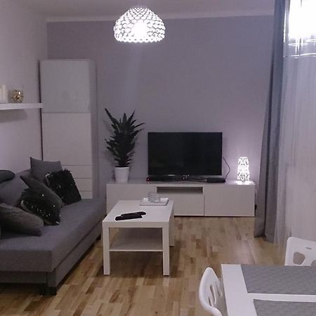 1 Bedroom City Center Apartment カトヴィツェ 部屋 写真
