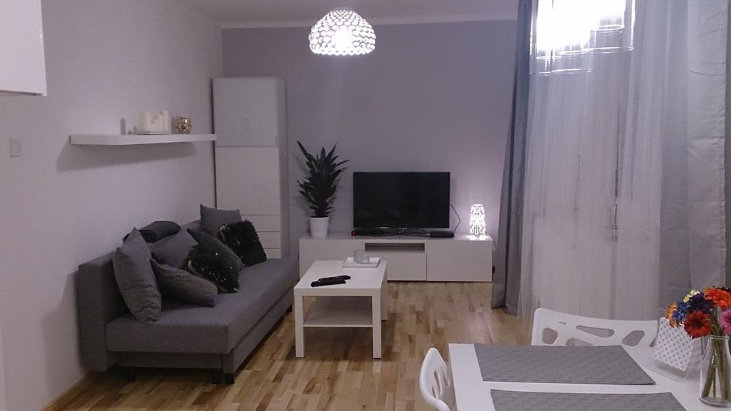 1 Bedroom City Center Apartment カトヴィツェ 部屋 写真
